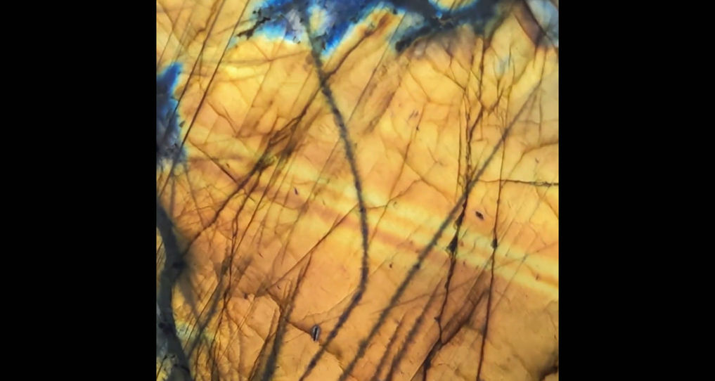Showstopper Labradorite Freeform | Golden Flash Collector Piece